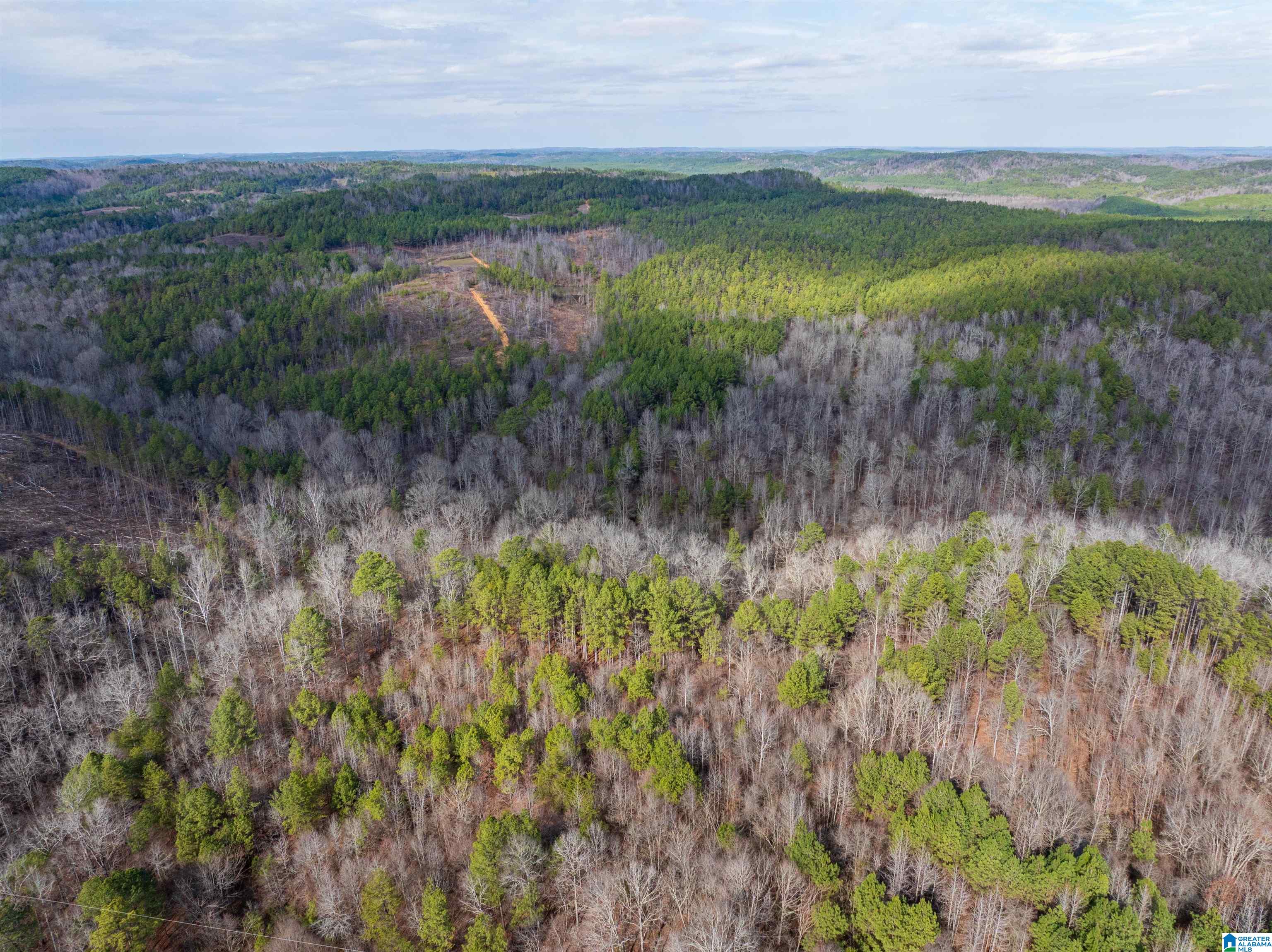 0 Red Hill Road, Unit 15 Oakman, AL 35579 - Photo 10 of 14