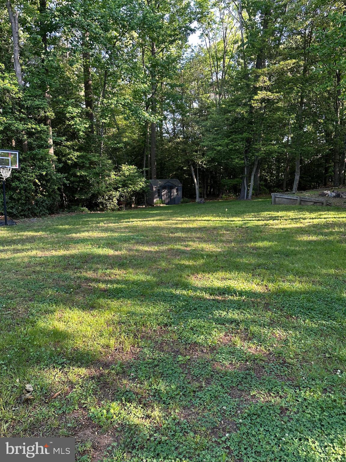 324 Jennings Road Severna Park, MD 21146 - Photo 27 of 28 a view of a trees in a yard