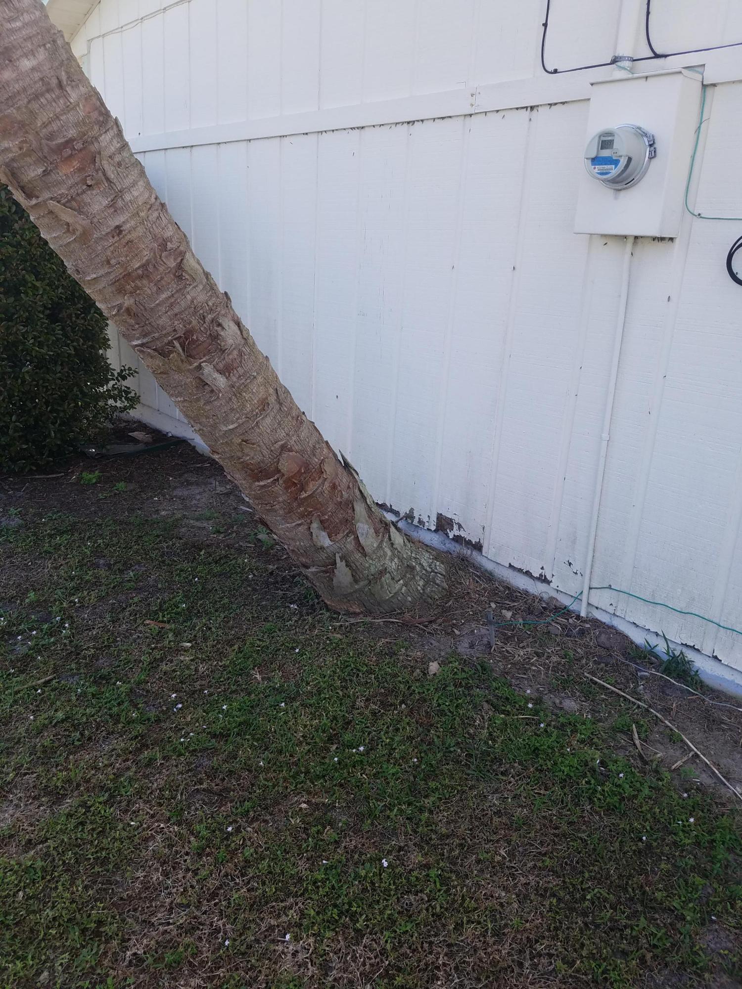 871 Southwest Harvard Road Port St. Lucie, FL 34953 - Photo 24 of 25 20171219_121609