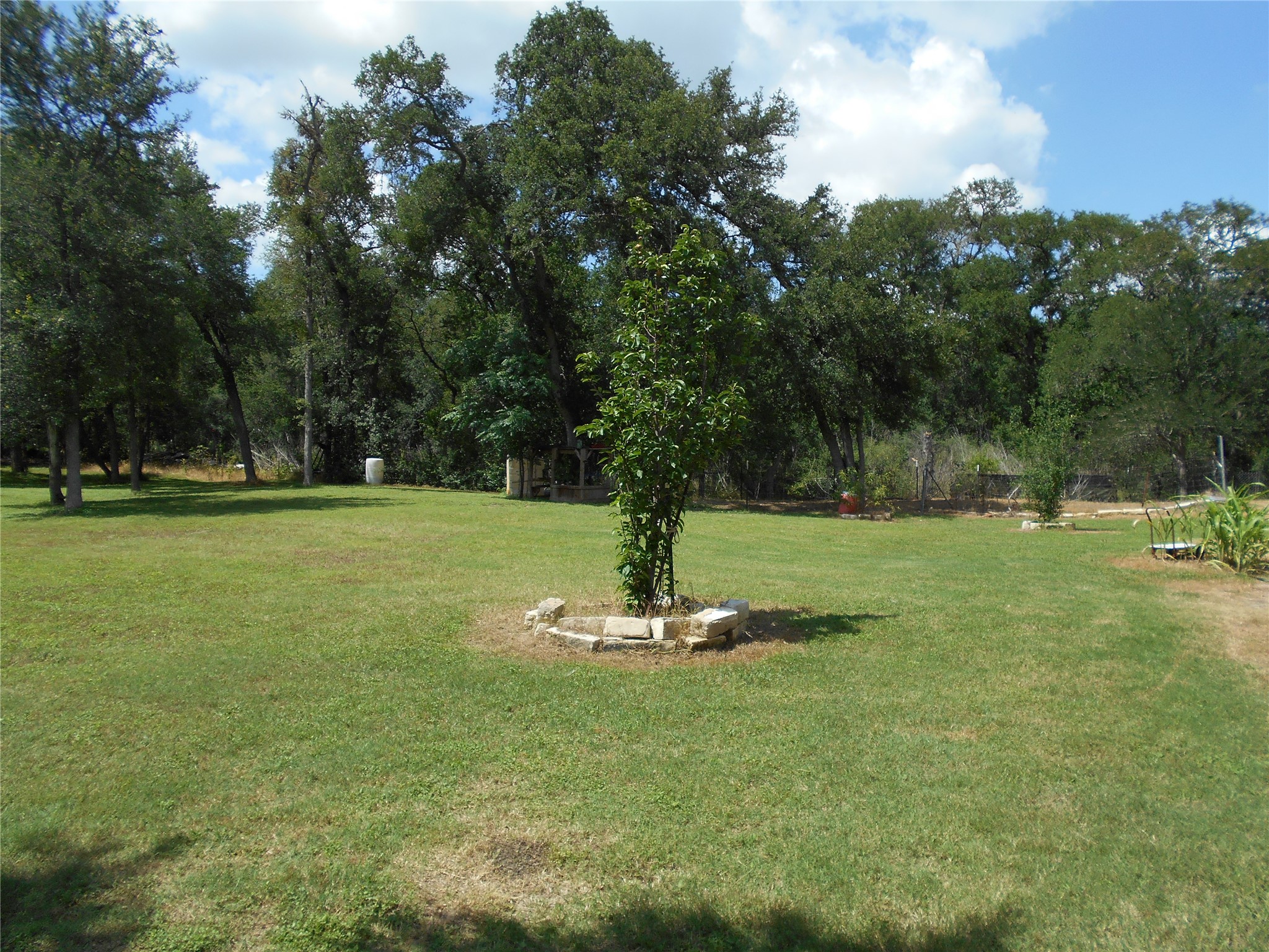 8001 Burleson Manor Road Manor, TX 78653 - Photo 30 of 31 A verdant, open yard is bordered by mature trees under a brilliant sky.