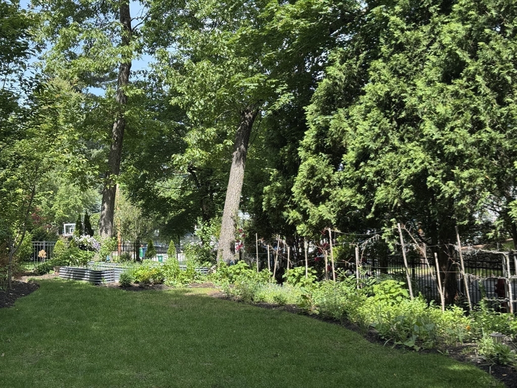 110 Avalon Road Newton, MA 02468 - Photo 19 of 25