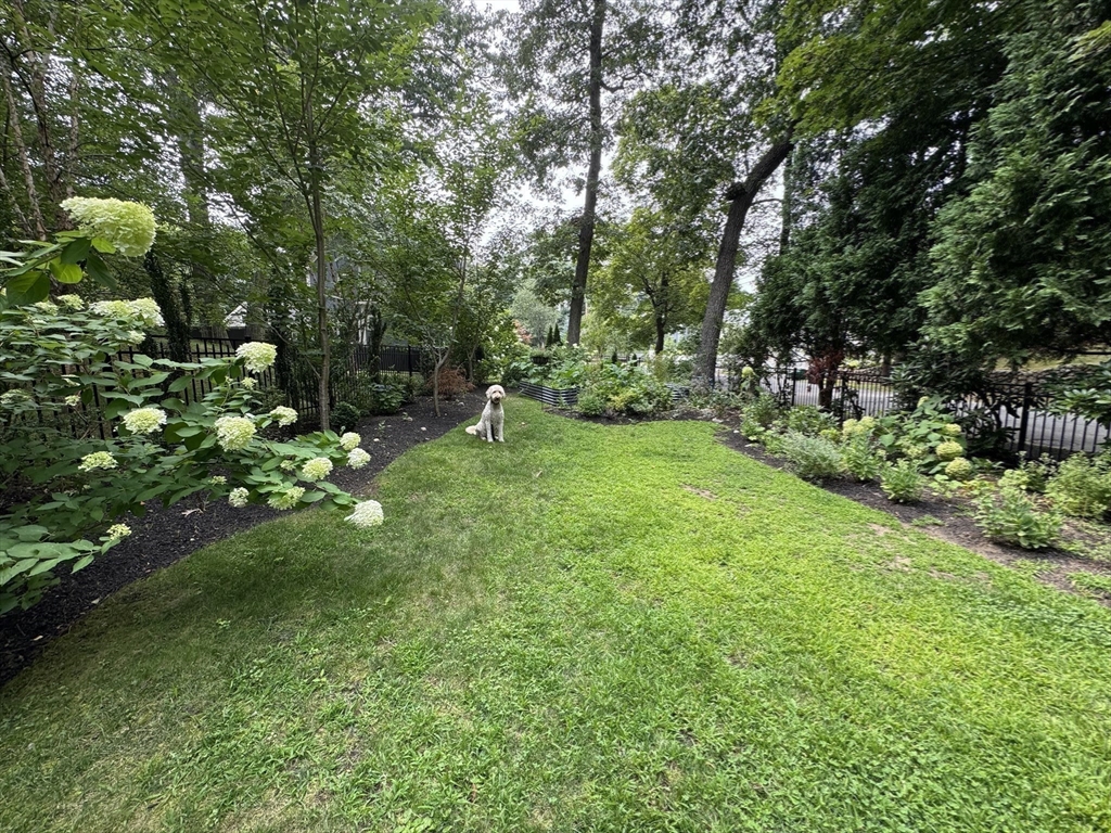 110 Avalon Road Newton, MA 02468 - Photo 20 of 25