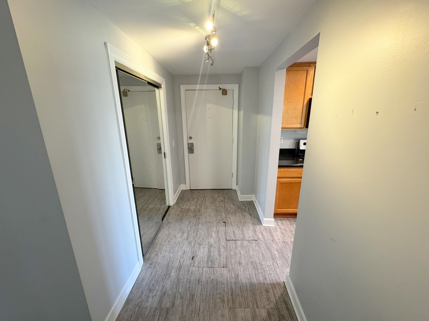 1 Renaissance Place, Unit 617 Palatine, IL 60067 - Photo 4 of 28