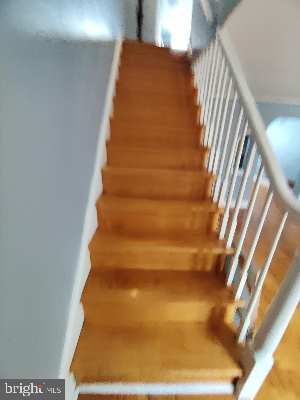7255 Bradford Road Upper Darby, PA 19082 - Photo 36 of 42 Gallery Image 36