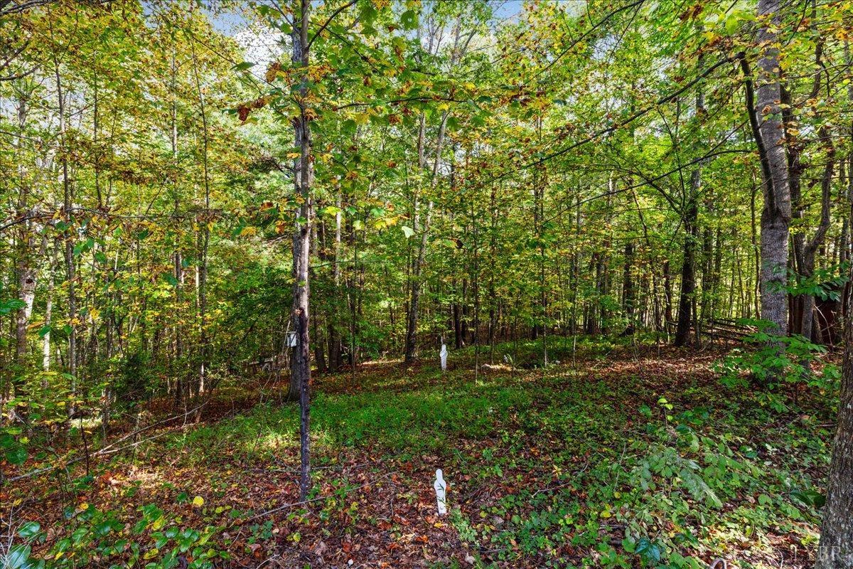 274 Brick Road Amherst, VA 24521 - Photo 45 of 65 Gallery Image 45