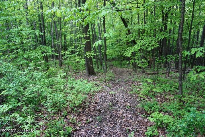 L26 West Fulton Road Warnerville, NY 12187 - Photo 10 of 15 W Fulton pic 10