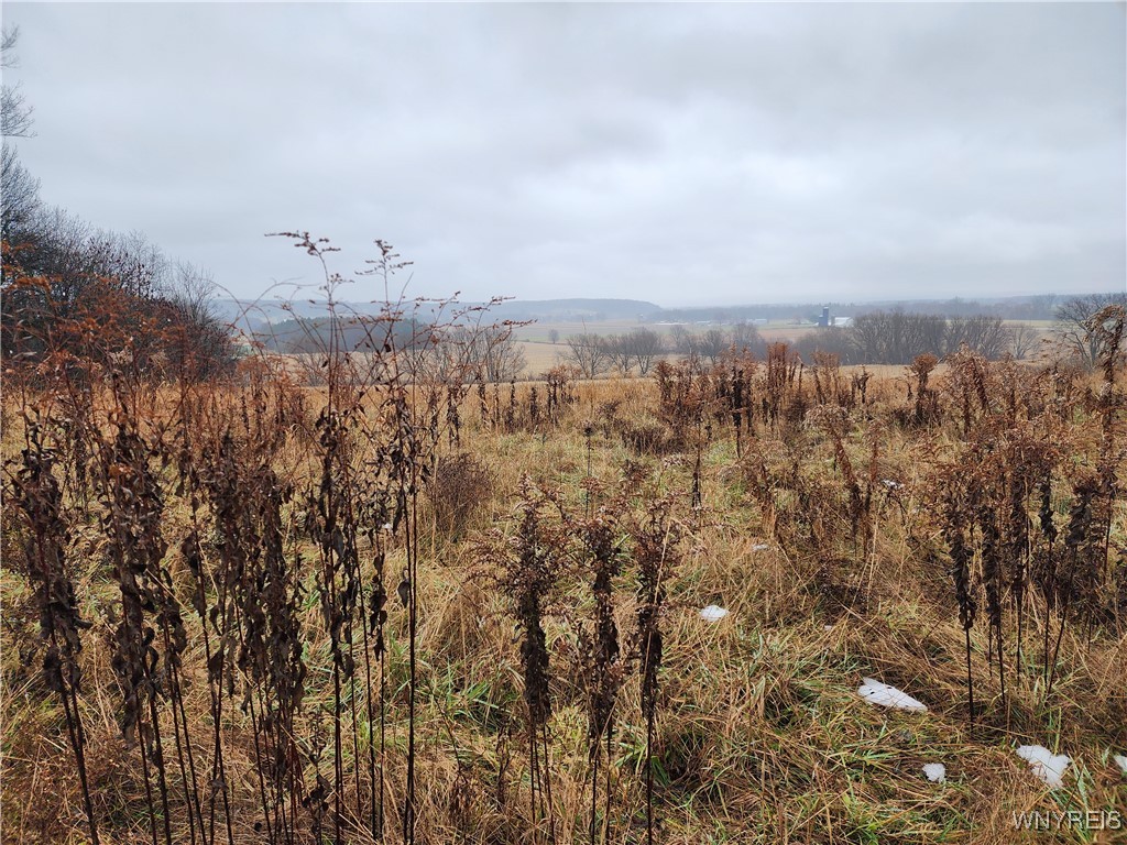 Ball Hill Road Forestville, NY 14062 - Photo 1 of 9