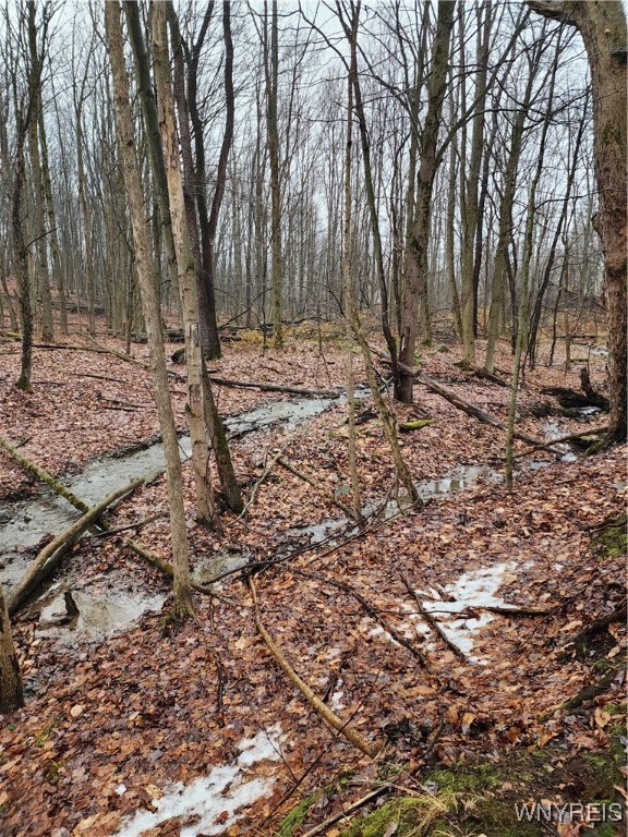 Ball Hill Road Forestville, NY 14062 - Photo 2 of 9