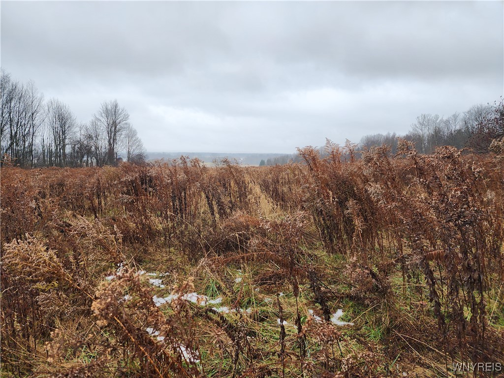 Ball Hill Road Forestville, NY 14062 - Photo 3 of 9