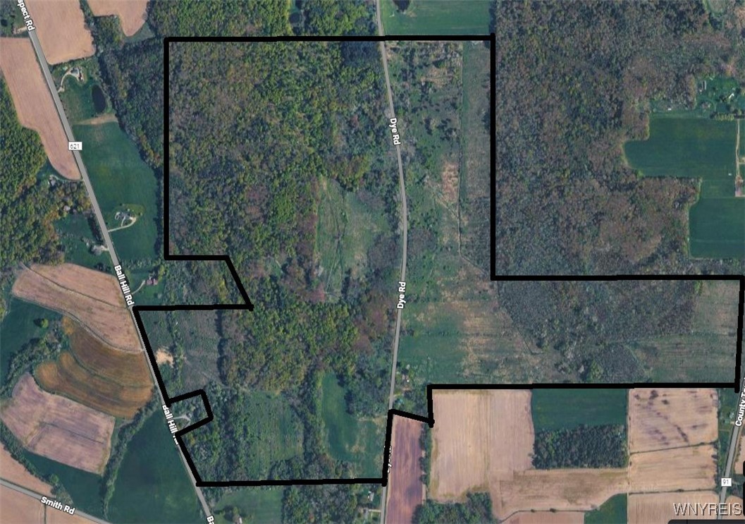 Ball Hill Road Forestville, NY 14062 - Photo 4 of 9 Aerial Boundary