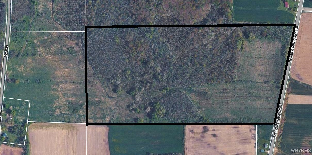 Ball Hill Road Forestville, NY 14062 - Photo 6 of 9 Eastern Parcel Buttermilk Road