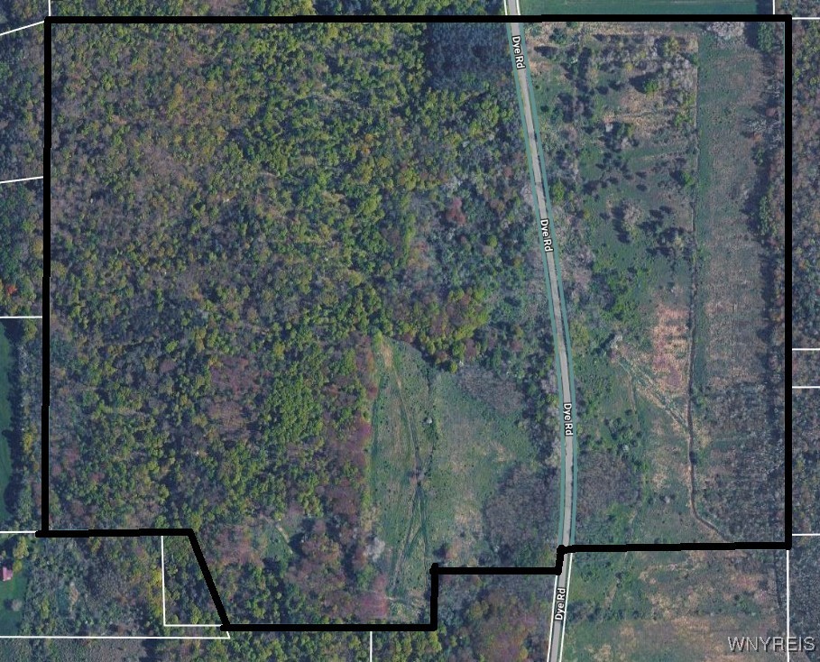 Ball Hill Road Forestville, NY 14062 - Photo 7 of 9 Northern Parcel