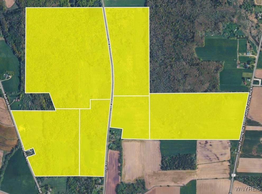 Ball Hill Road Forestville, NY 14062 - Photo 8 of 9