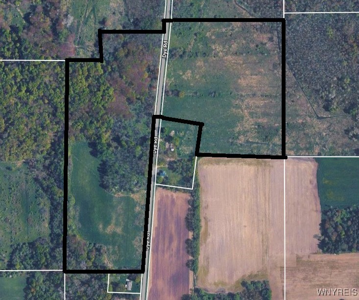 Ball Hill Road Forestville, NY 14062 - Photo 9 of 9 Southern Parcel Frontage on E&W Dye Rd.