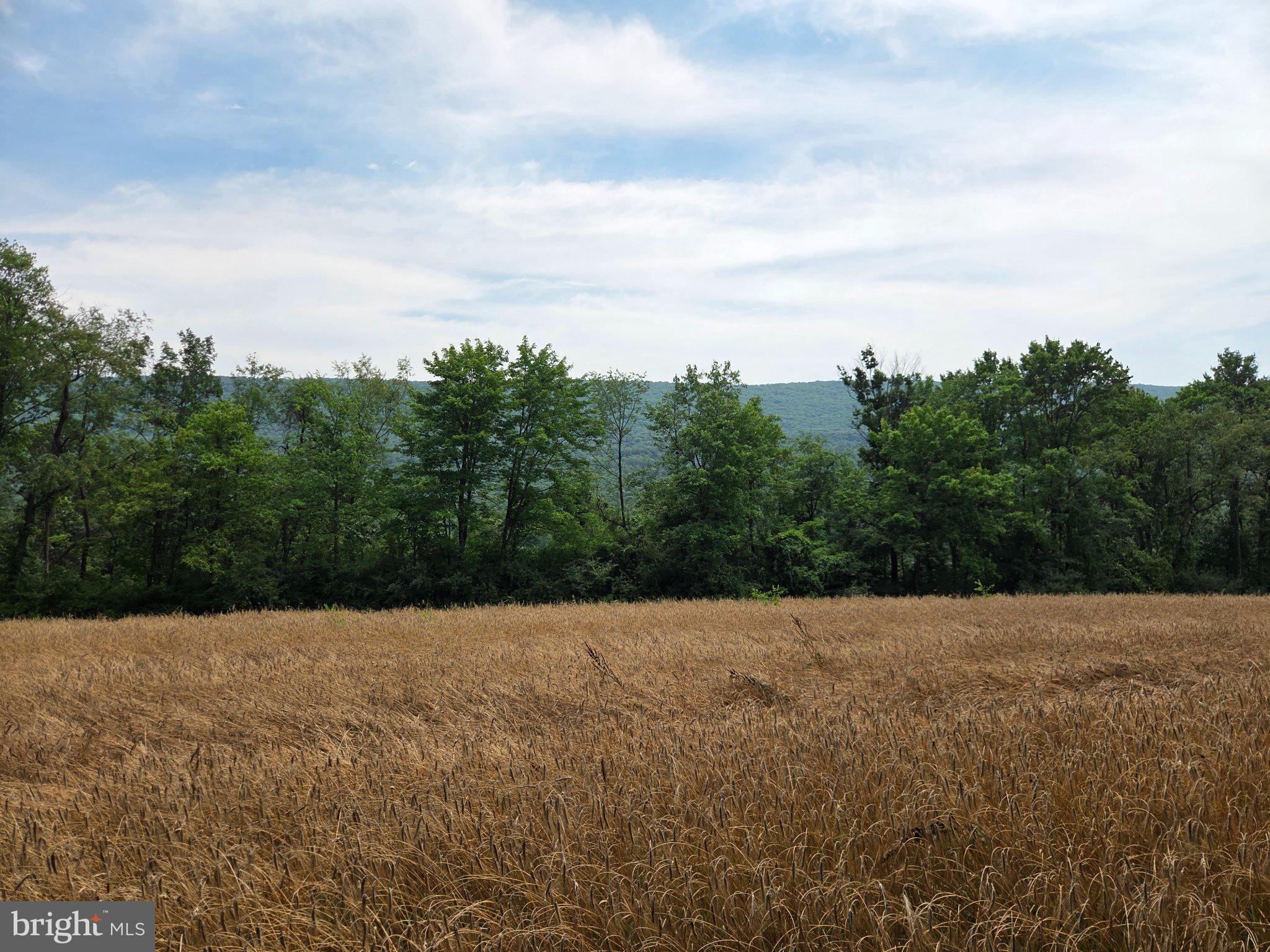 667 Summit Road McClure, PA 17841 - Photo 12 of 15
