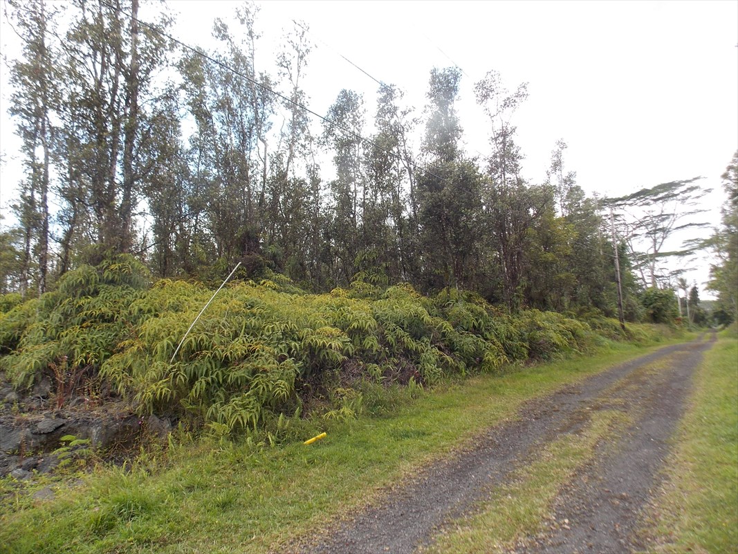921 Shell Road Pahoa, HI 96778 - Photo 1 of 2 Gallery Image 1