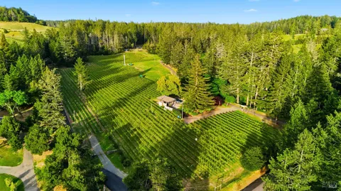 a aerial view of a house with a yard and lake view