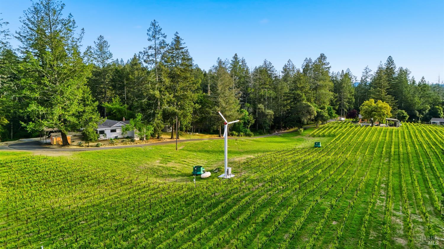 425 Cold Springs Road Angwin, CA 94508 - Photo 4 of 53 a view of a park with a tree