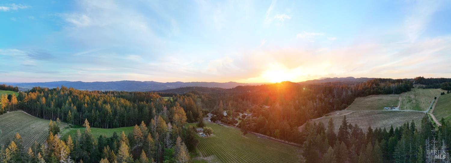 425 Cold Springs Road Angwin, CA 94508 - Photo 53 of 53 a view of a city with lush green forest