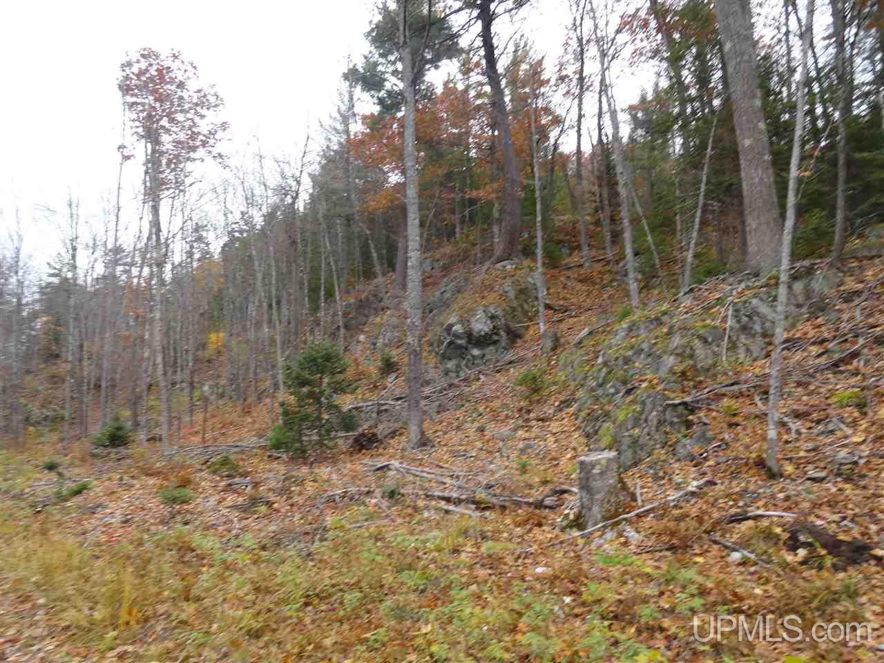 80-acres Co Rd Gga (aka Red Road Champion, MI 49849 - Photo 17 of 26