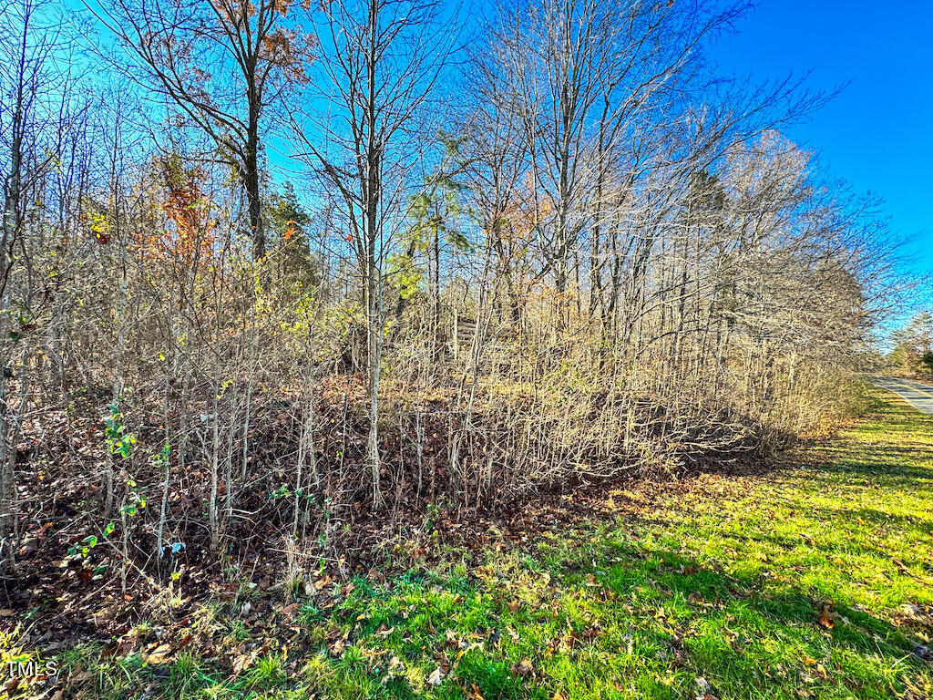 0 Oliver Loop Road Roxboro, NC 27574 - Photo 27 of 37 19