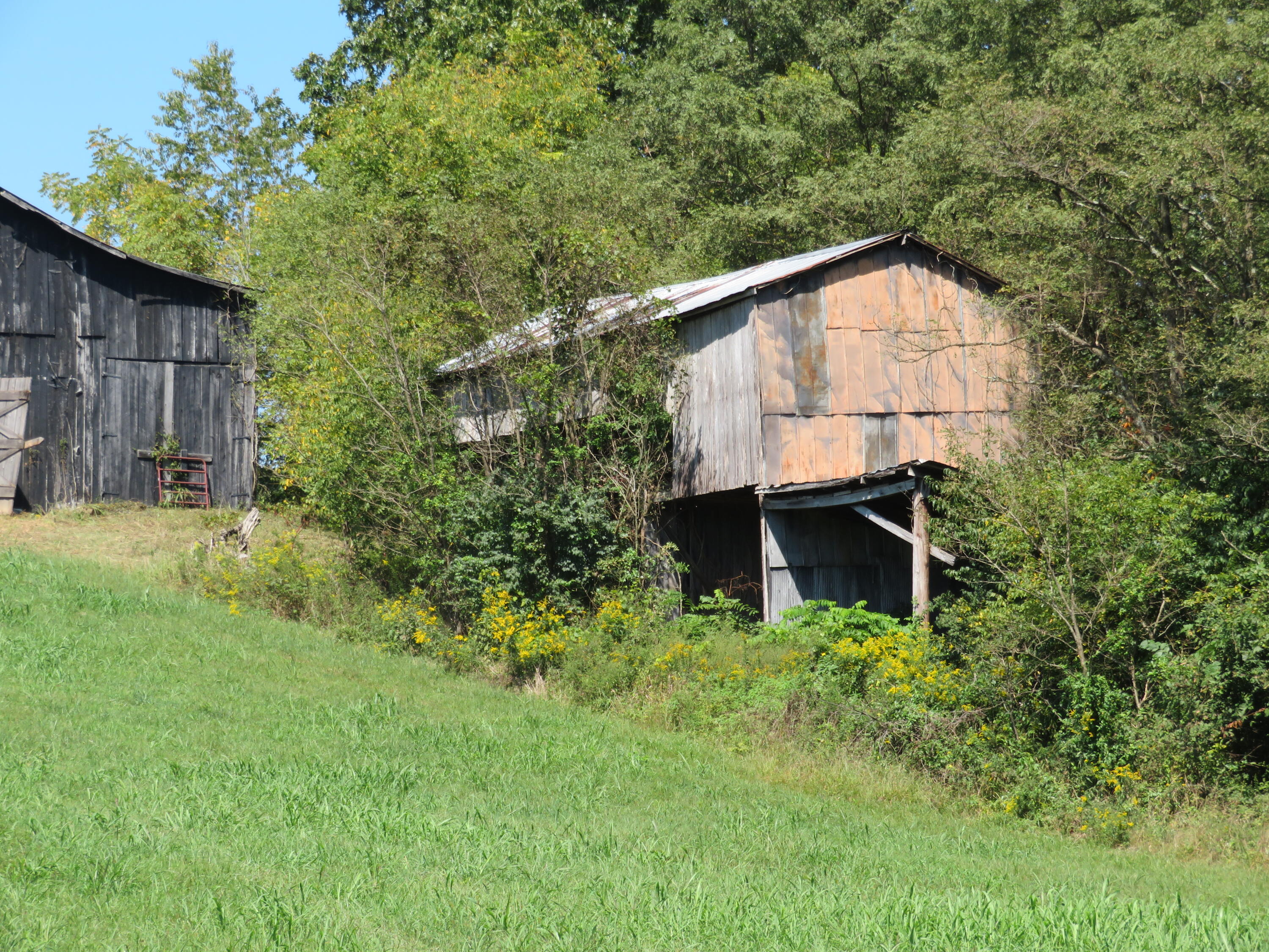 620 Lillies Ferry Road Winchester, KY 40391 - Photo 14 of 18 IMG_3024