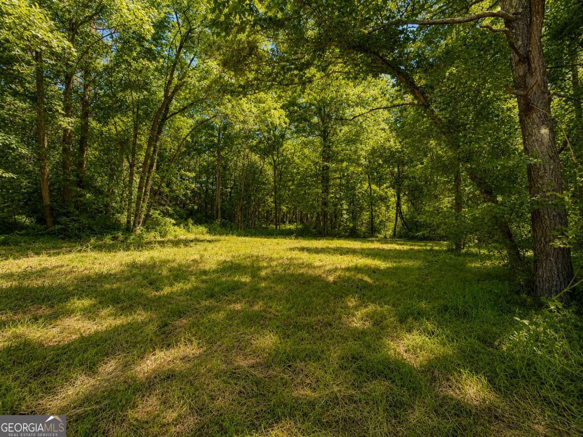 773 Fairview Road Jasper, GA 30143 - Photo 27 of 73