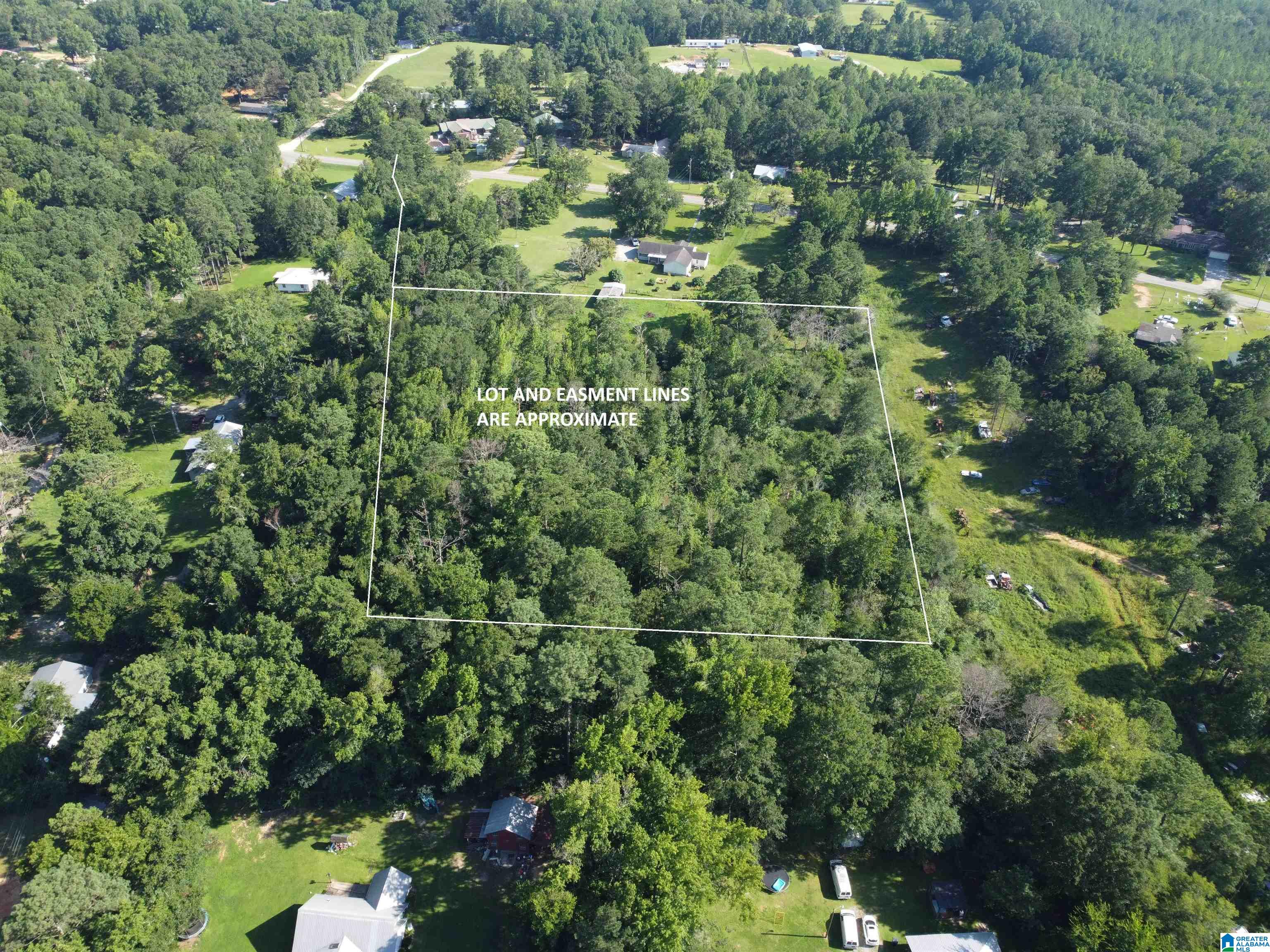 0 County Road 10 Montevallo, AL 35115 - Photo 3 of 5