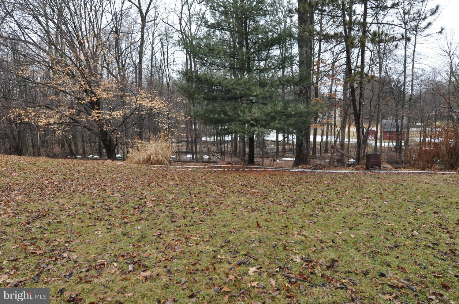 8510 Hawkins Creamery Road Gaithersburg, MD 20882 - Photo 28 of 30 Yard