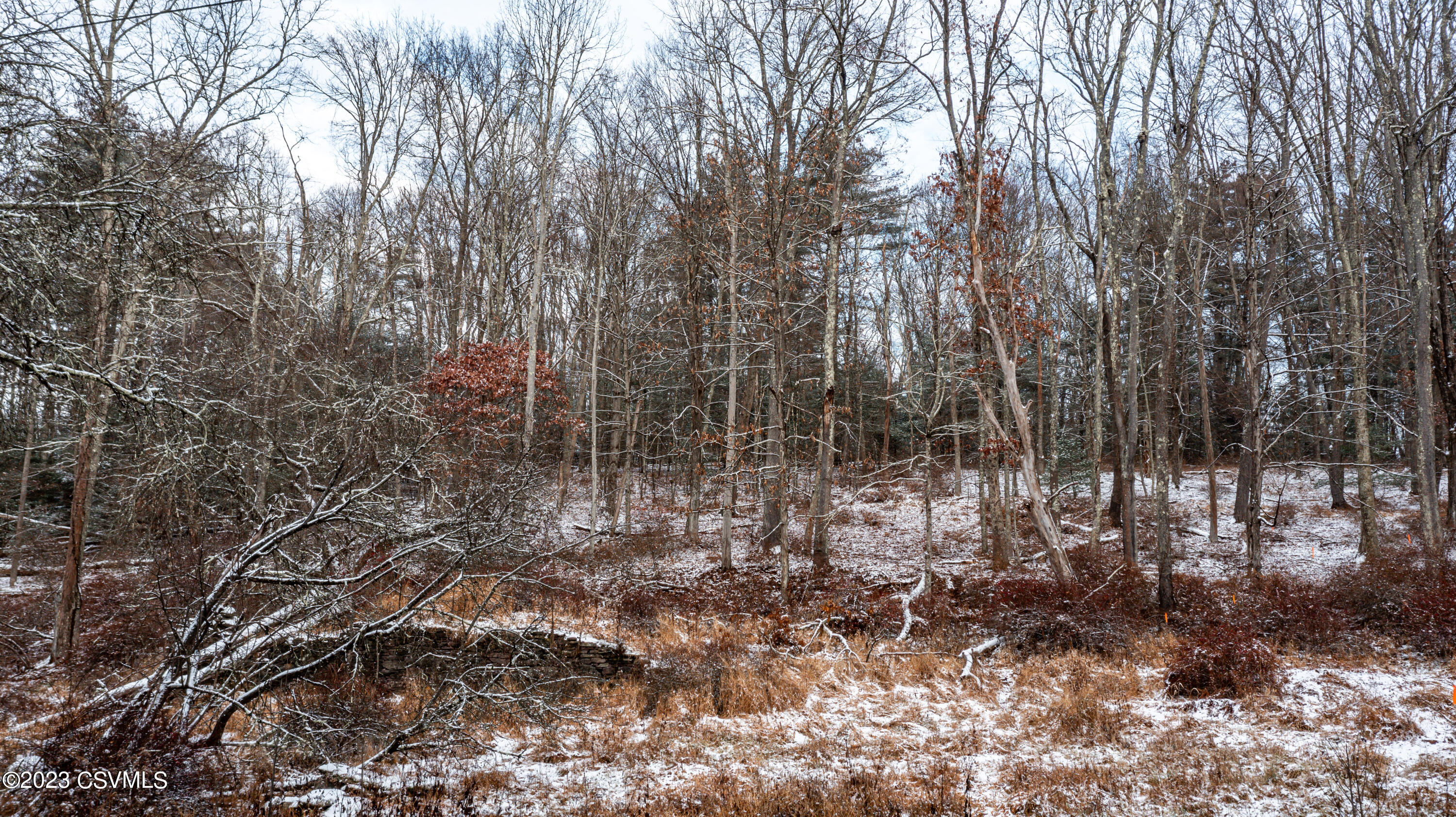 Parks Road Benton, PA 17814 - Photo 20 of 25