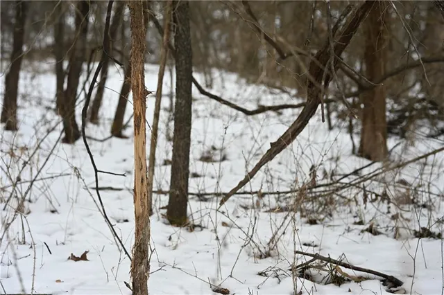 $578,500 | 152 Road Other Mo 65244, Clifton Hill, MO 65244