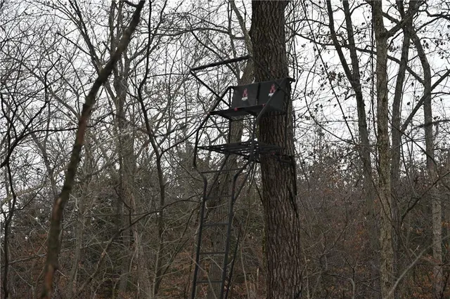 $578,500 | 152 Road Other Mo 65244, Clifton Hill, MO 65244