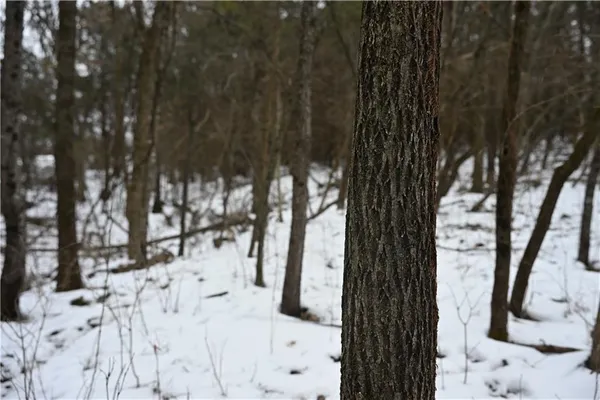 $578,500 | 152 Road Other Mo 65244, Clifton Hill, MO 65244