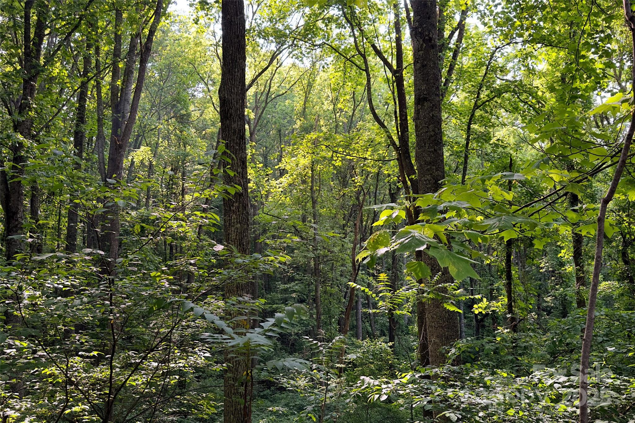 V/l Smith Knolls Road Fairview, NC 28730 - Photo 11 of 31