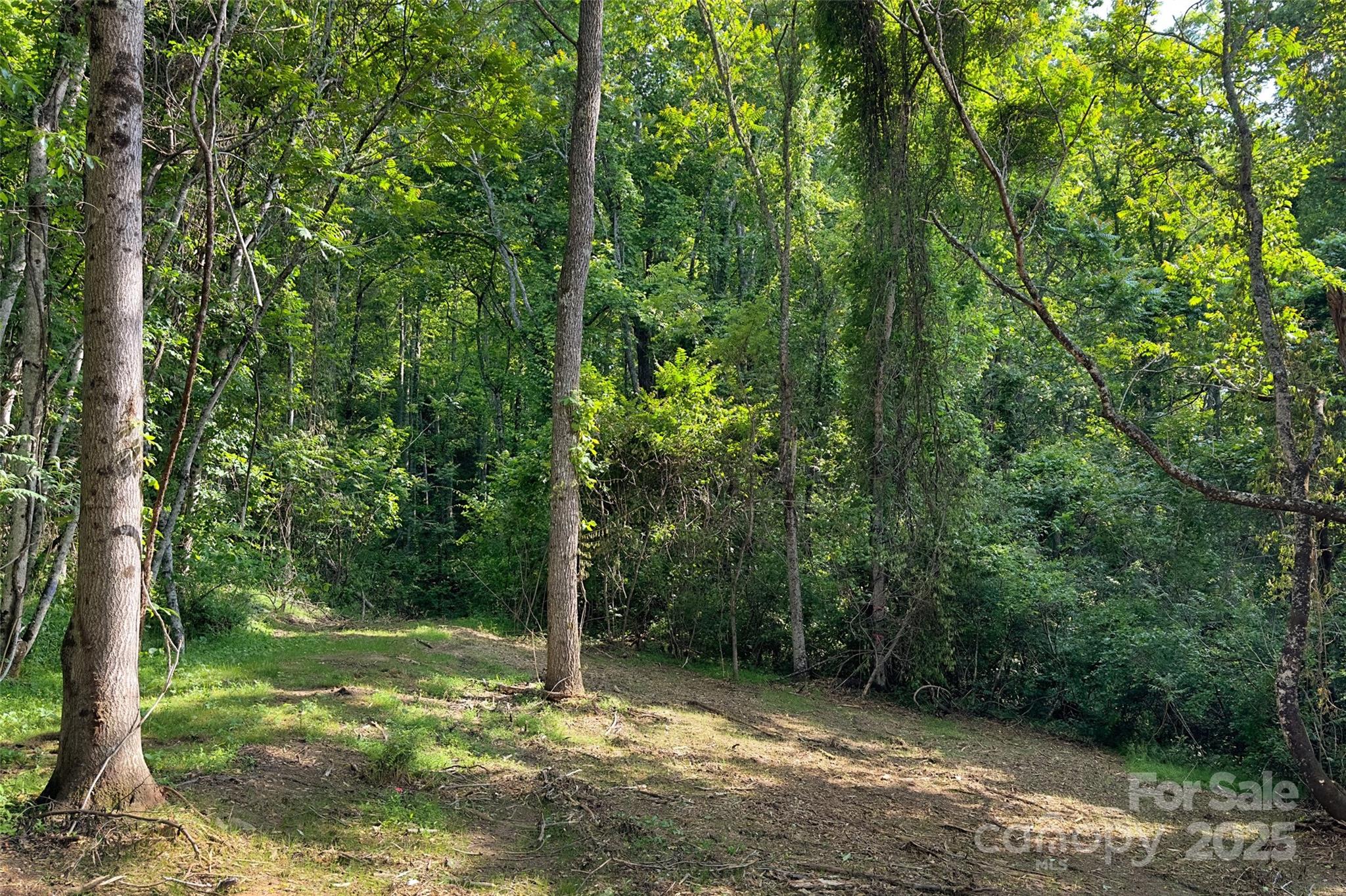 V/l Smith Knolls Road Fairview, NC 28730 - Photo 12 of 31