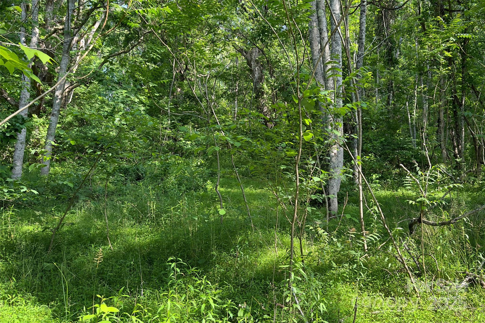 V/l Smith Knolls Road Fairview, NC 28730 - Photo 13 of 31