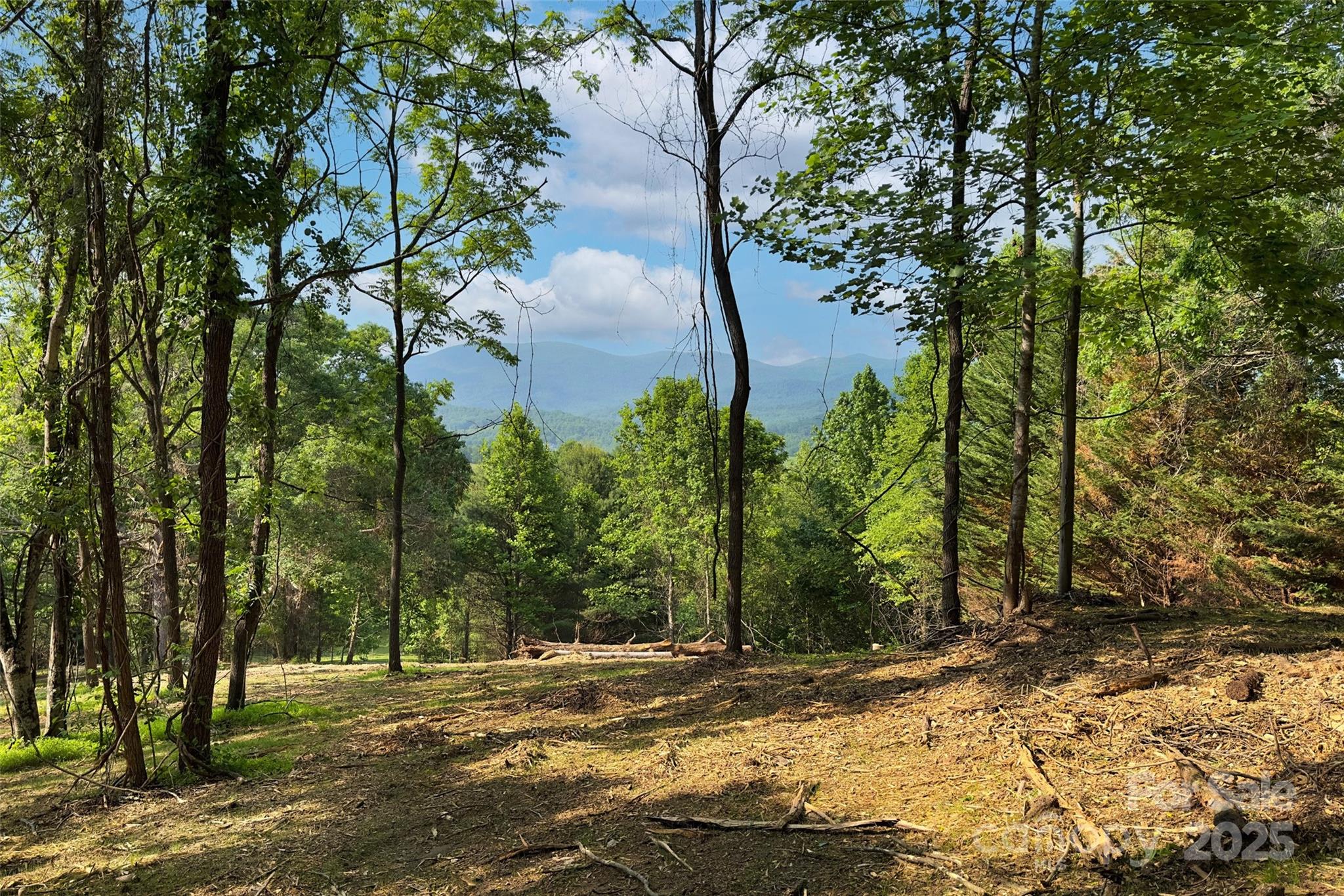 V/l Smith Knolls Road Fairview, NC 28730 - Photo 14 of 31