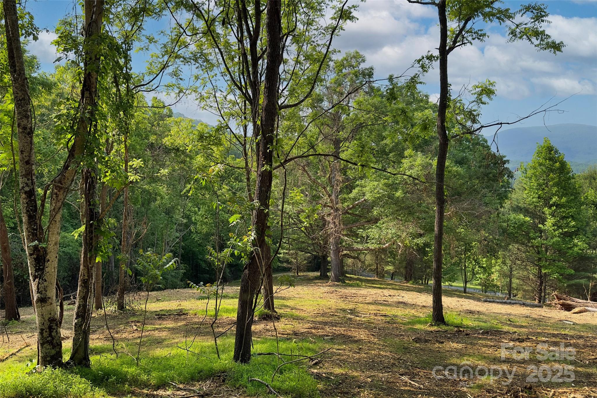 V/l Smith Knolls Road Fairview, NC 28730 - Photo 15 of 31