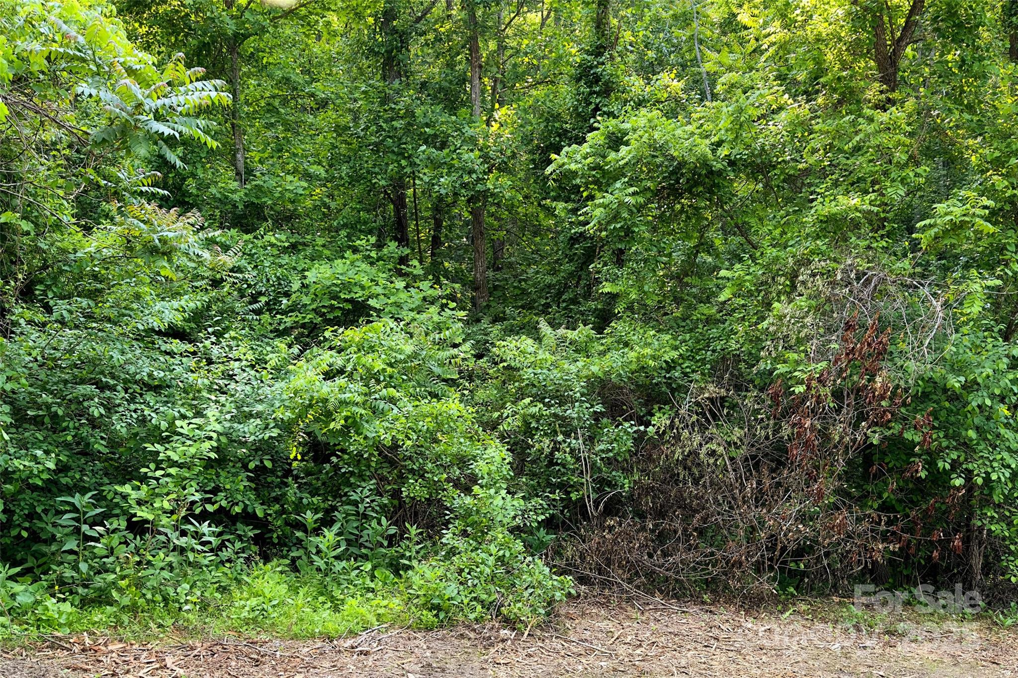 V/l Smith Knolls Road Fairview, NC 28730 - Photo 16 of 31