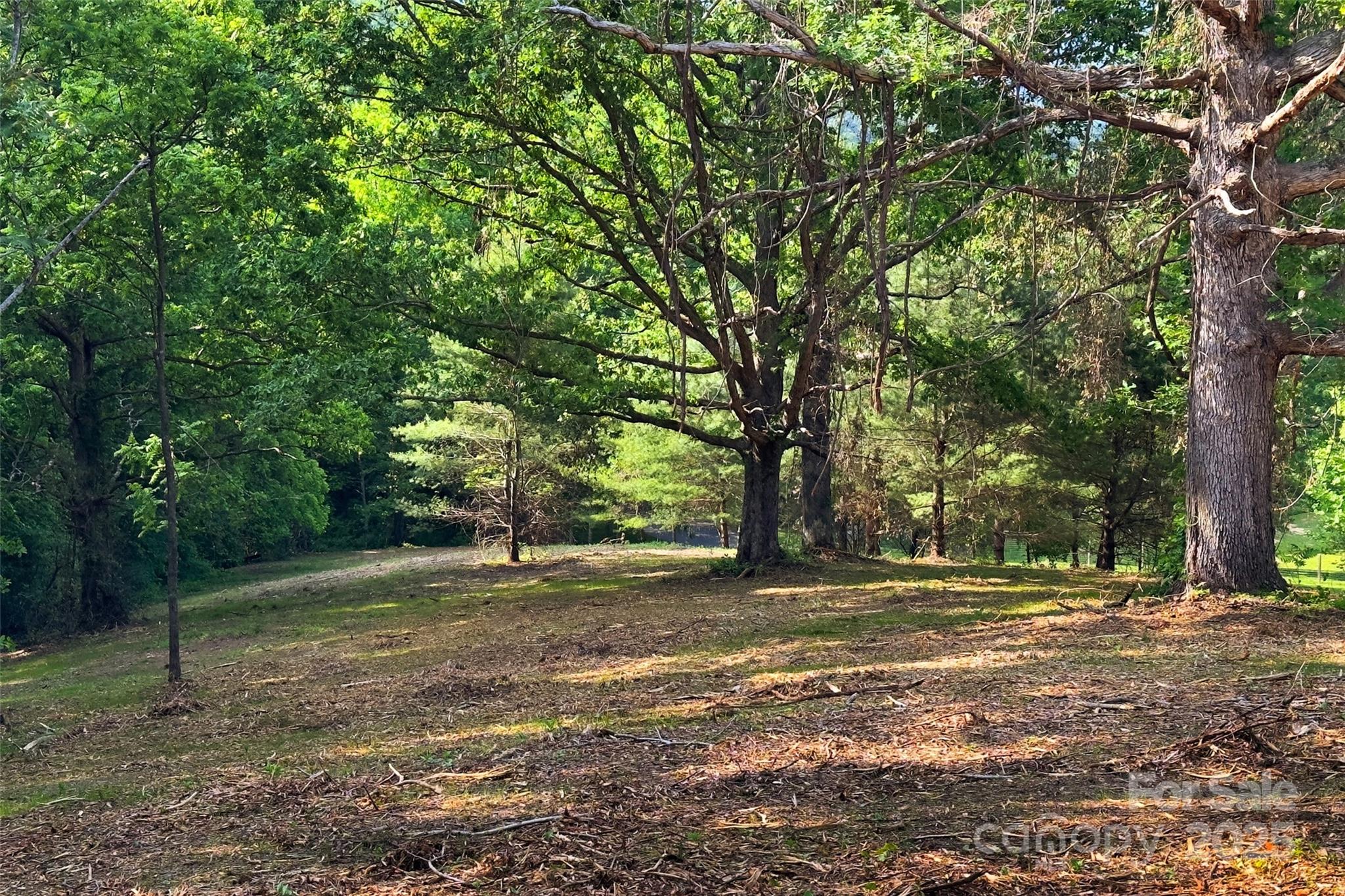 V/l Smith Knolls Road Fairview, NC 28730 - Photo 17 of 31