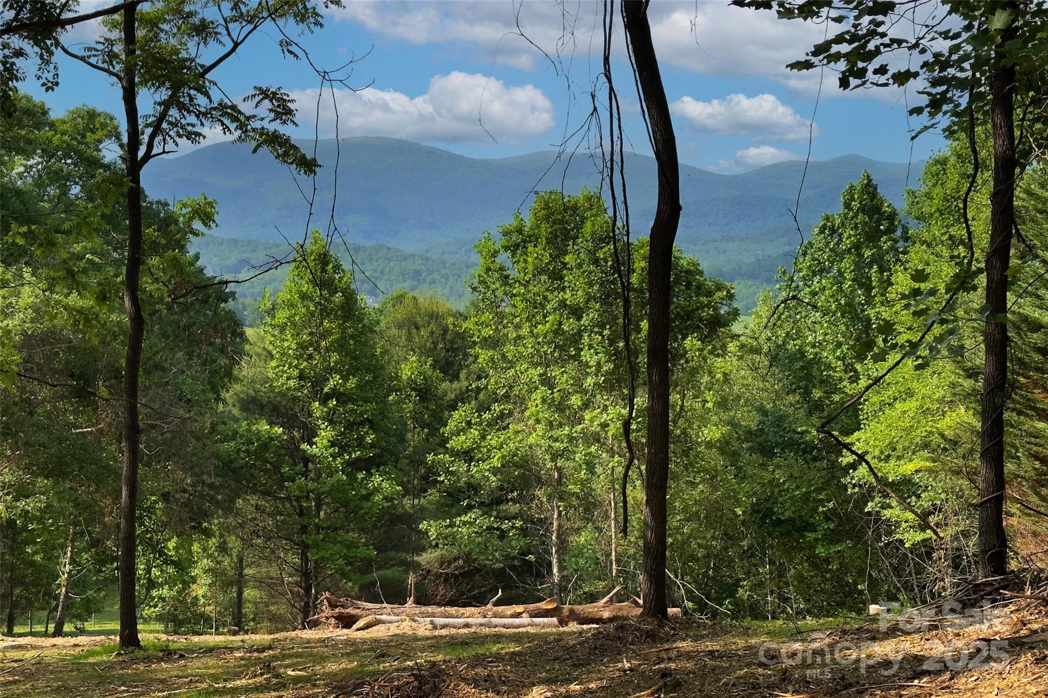 V/l Smith Knolls Road Fairview, NC 28730 - Photo 2 of 31