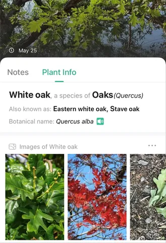 $369,000 | V/l Smith Knolls Road, Fairview, NC 28730