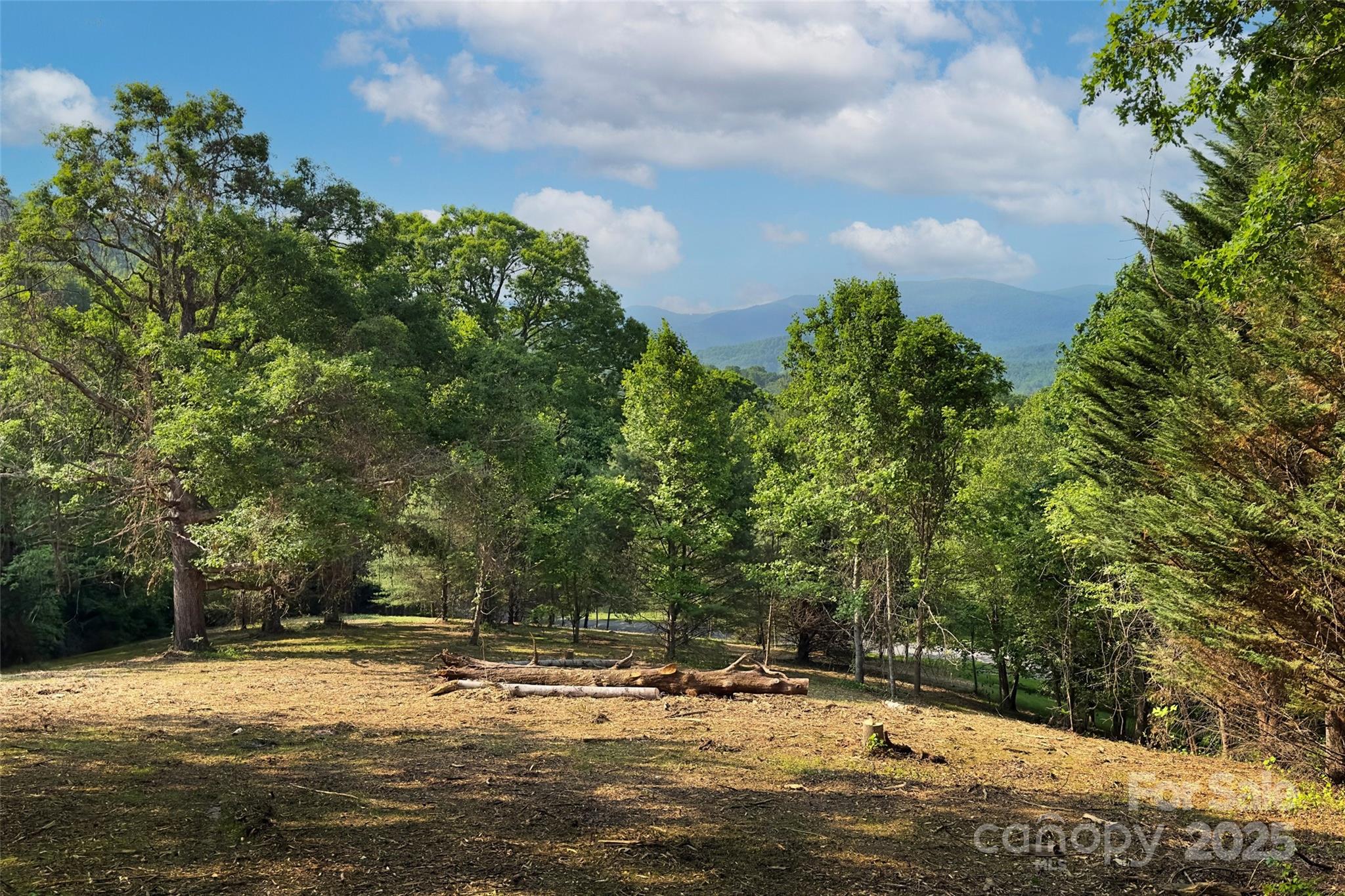 V/l Smith Knolls Road Fairview, NC 28730 - Photo 3 of 31