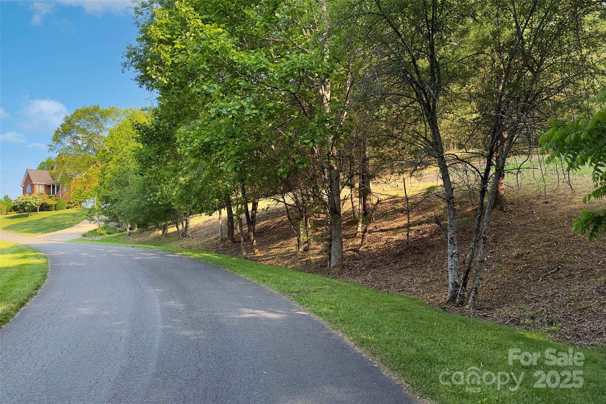V/l Smith Knolls Road Fairview, NC 28730 - Photo 4 of 31