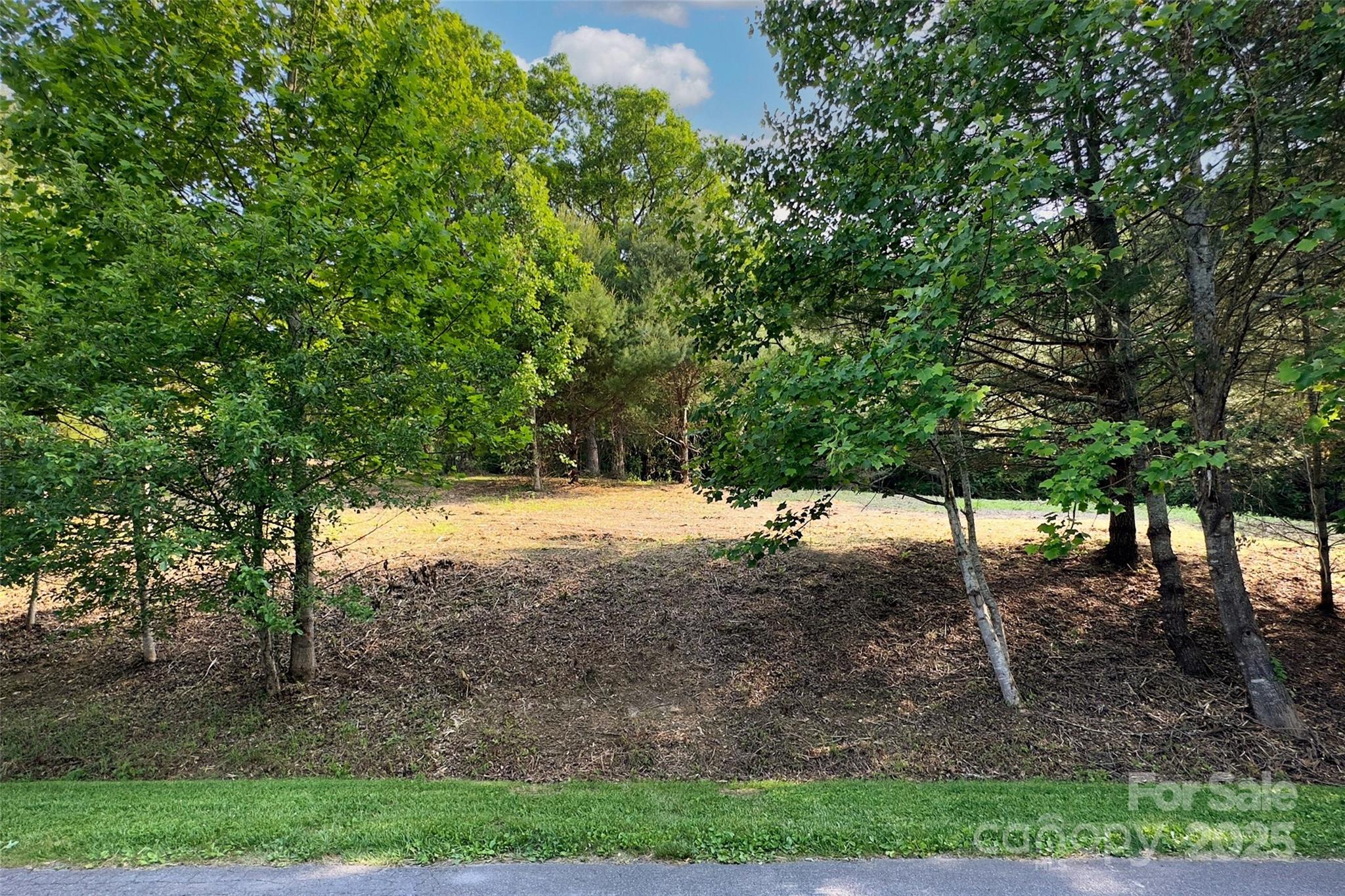 V/l Smith Knolls Road Fairview, NC 28730 - Photo 5 of 31