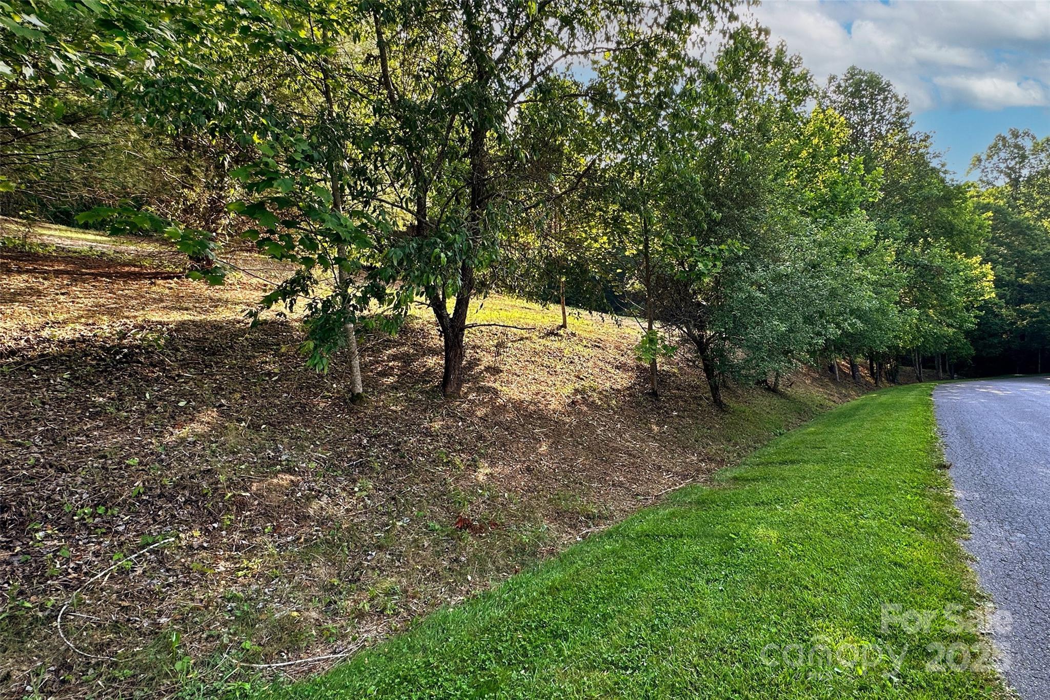 V/l Smith Knolls Road Fairview, NC 28730 - Photo 6 of 31