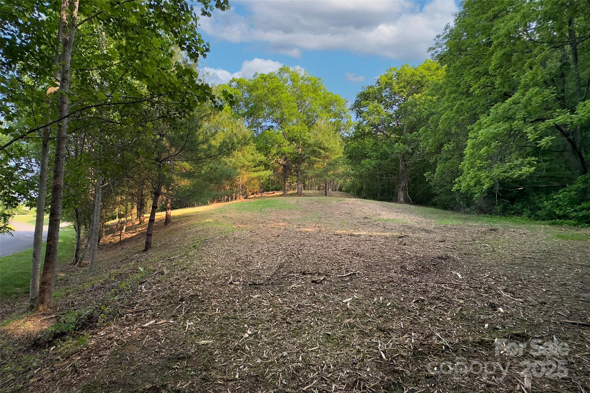 V/l Smith Knolls Road Fairview, NC 28730 - Photo 7 of 31