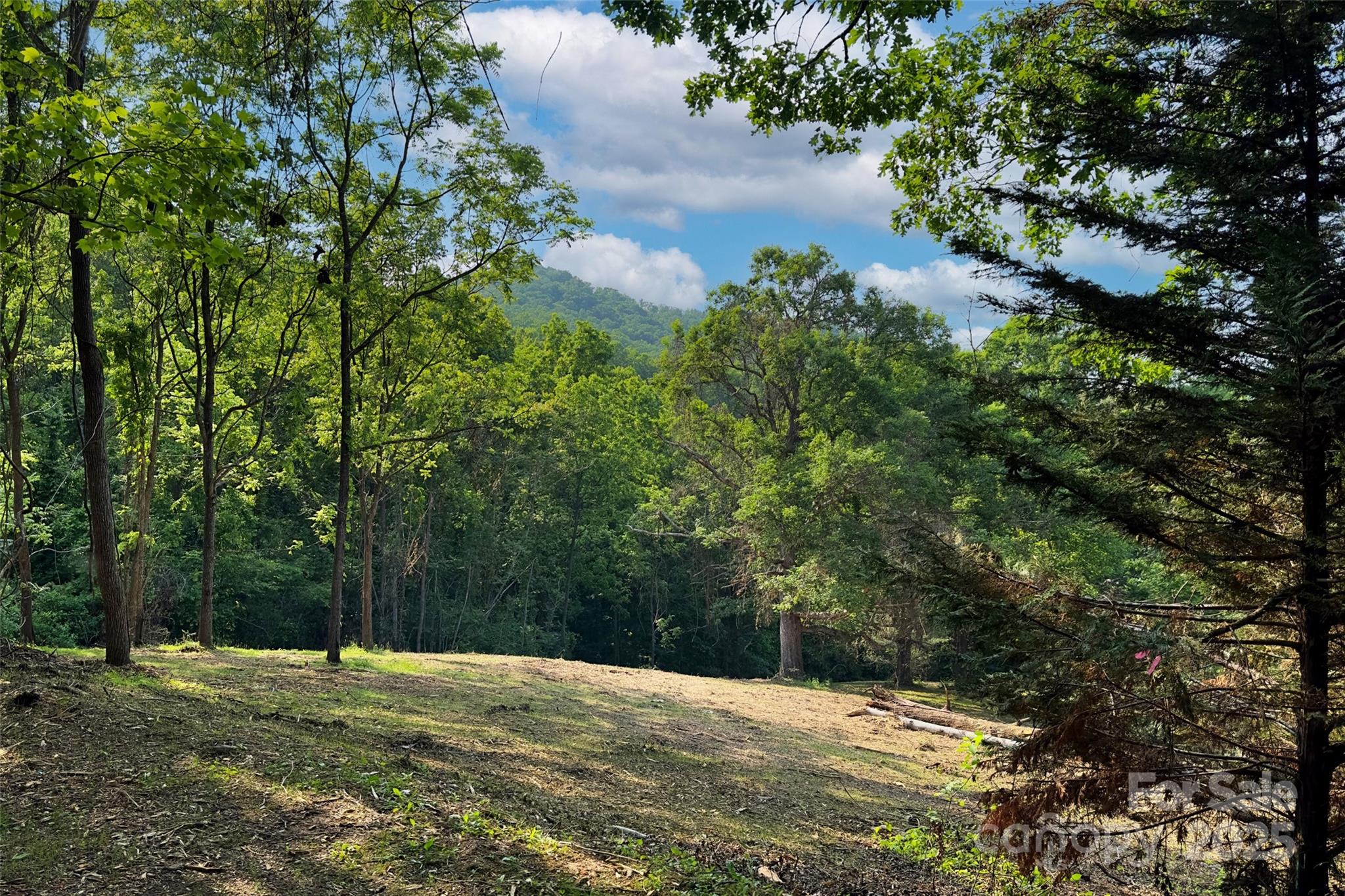 V/l Smith Knolls Road Fairview, NC 28730 - Photo 8 of 31