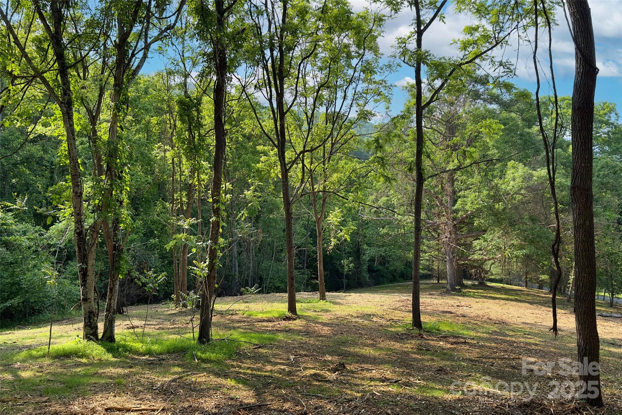 V/l Smith Knolls Road Fairview, NC 28730 - Photo 10 of 31
