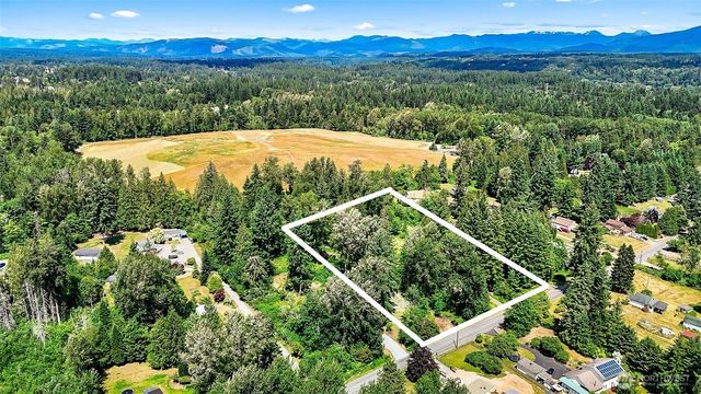 a view of a mountain from a yard